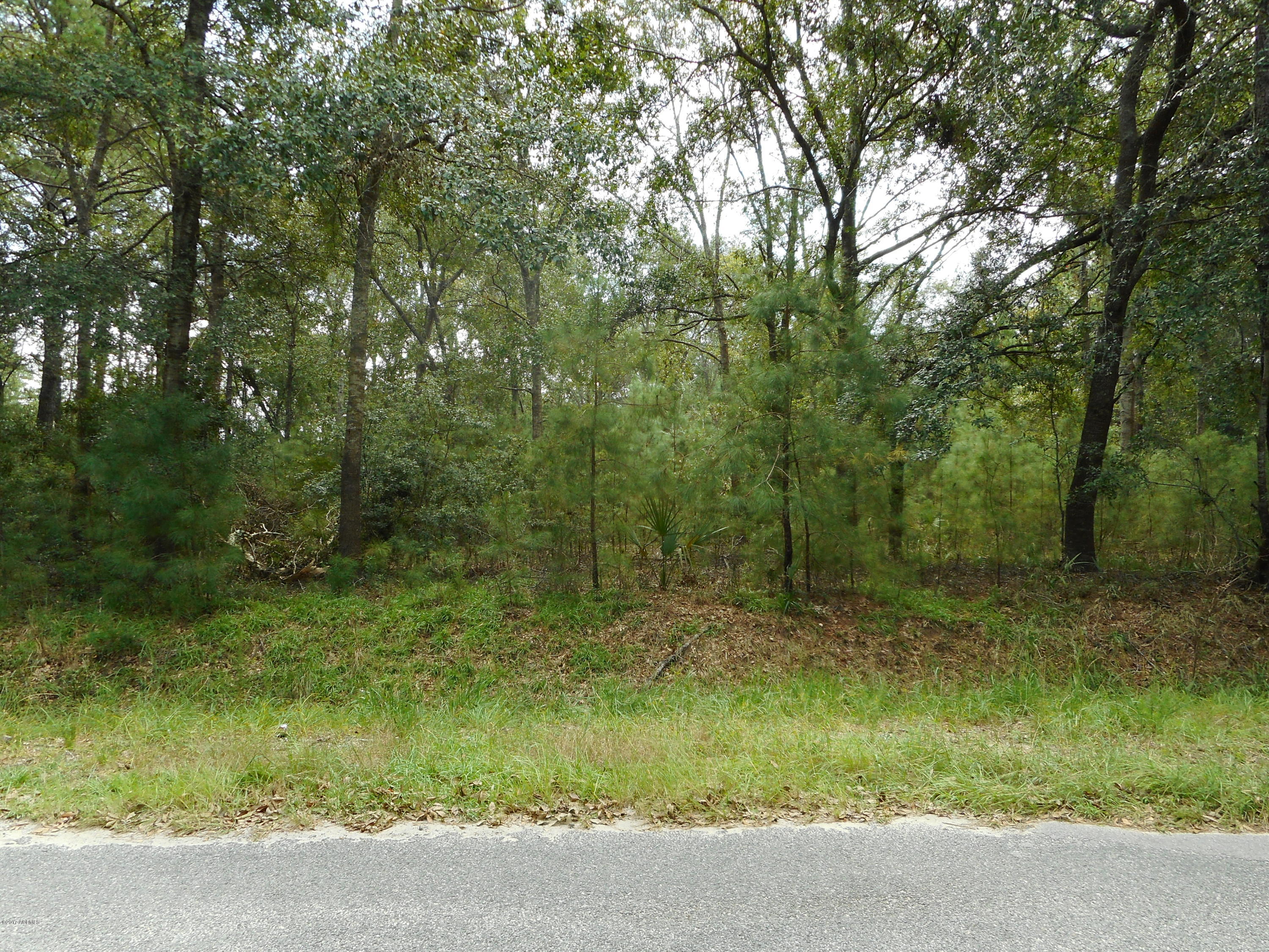 197 A Gannet Point Road Beaufort, SC 29907 - Photo 2 of 4 DSCN0075