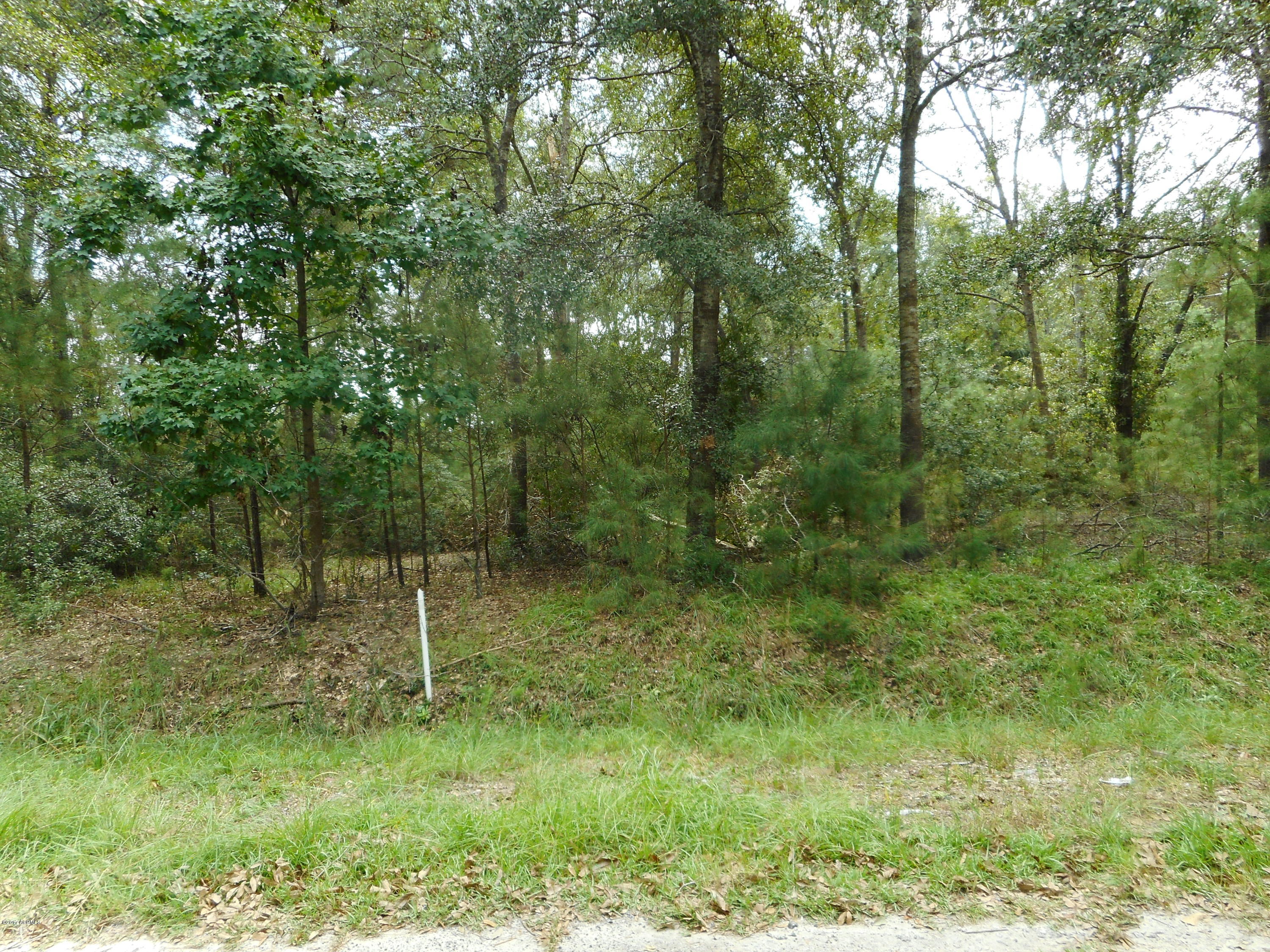 197 A Gannet Point Road Beaufort, SC 29907 - Photo 3 of 4 DSCN0076
