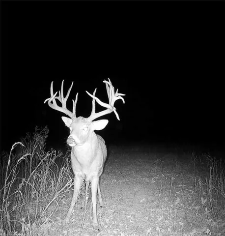 $179,900 | 1100 North 270th Street, Arcadia, KS 66711