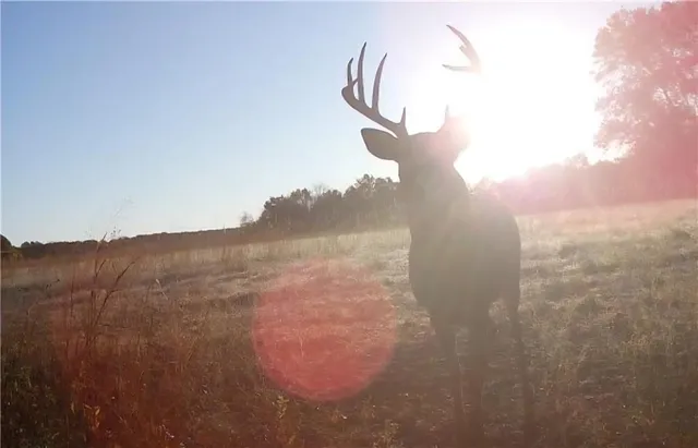 $179,900 | 1100 North 270th Street, Arcadia, KS 66711