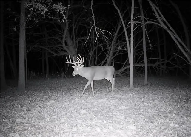 $179,900 | 1100 North 270th Street, Arcadia, KS 66711