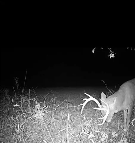 $179,900 | 1100 North 270th Street, Arcadia, KS 66711