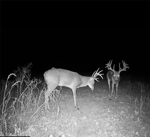 $179,900 | 1100 North 270th Street, Arcadia, KS 66711