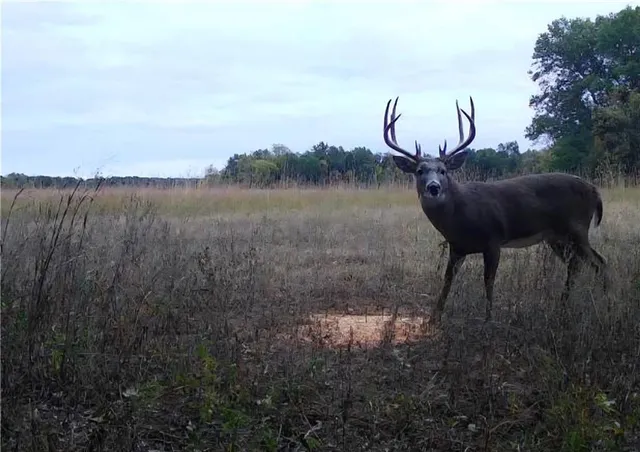 $179,900 | 1100 North 270th Street, Arcadia, KS 66711