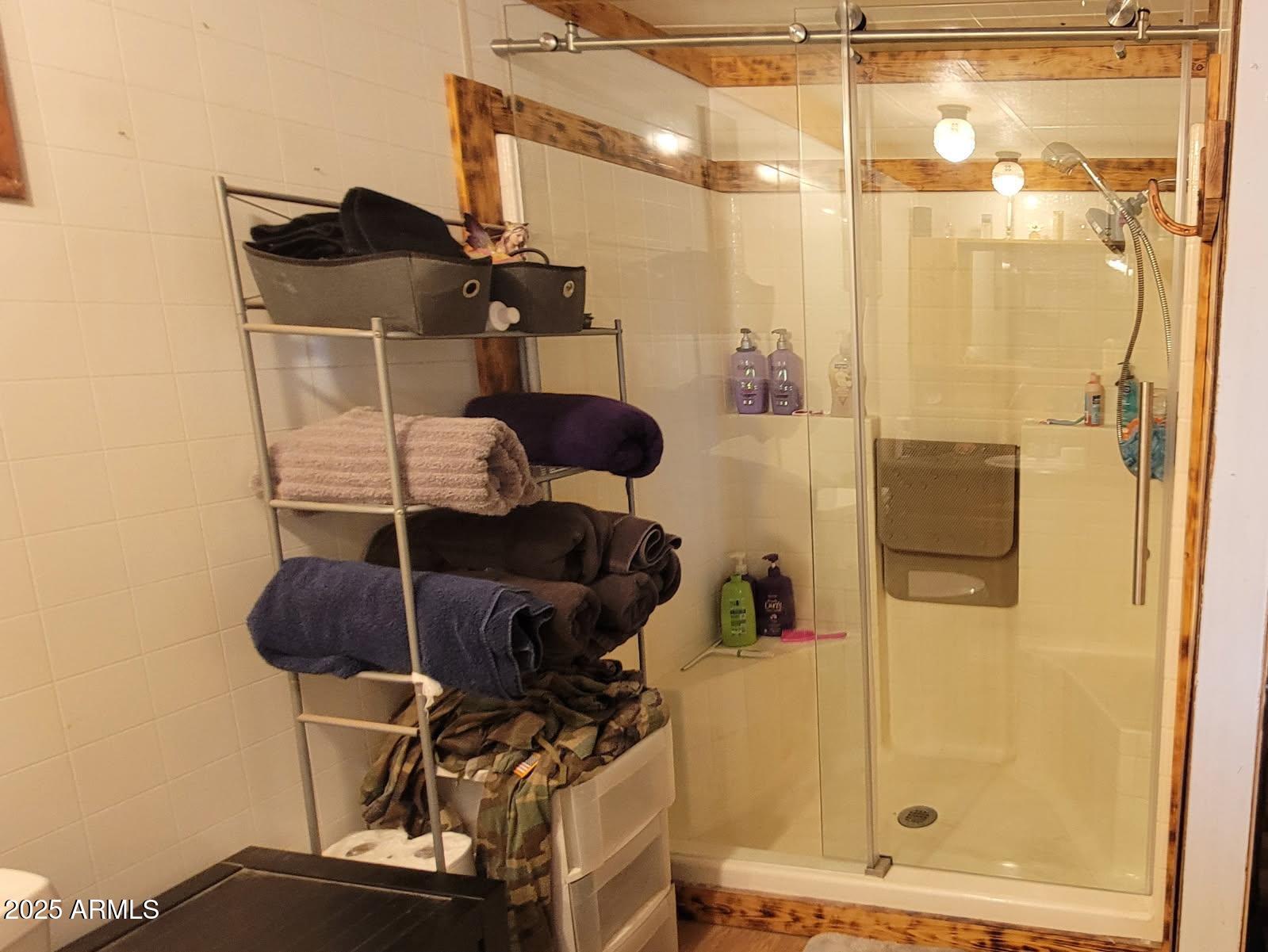 4274 West Lee Road McNeal, AZ 85617 - Photo 12 of 43 a bathroom with a shower