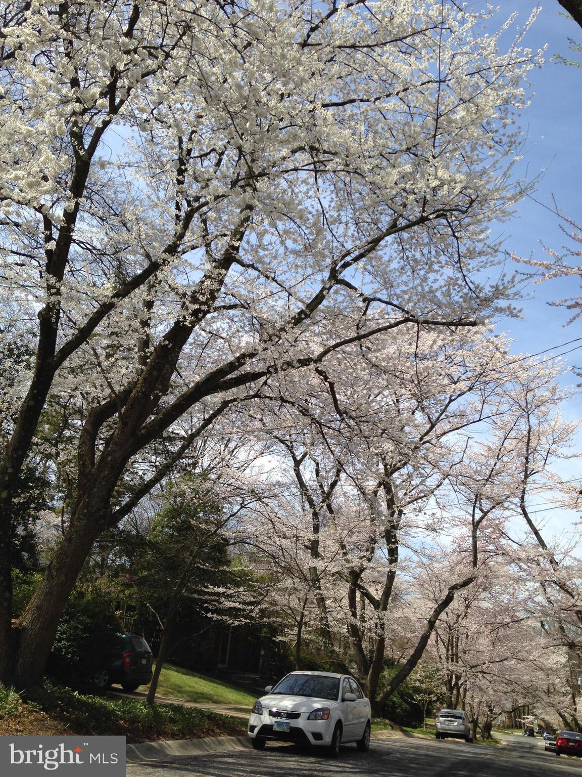 3941 Rickover Road Silver Spring, MD 20902 - Photo 4 of 5 a car parked on the side of a road