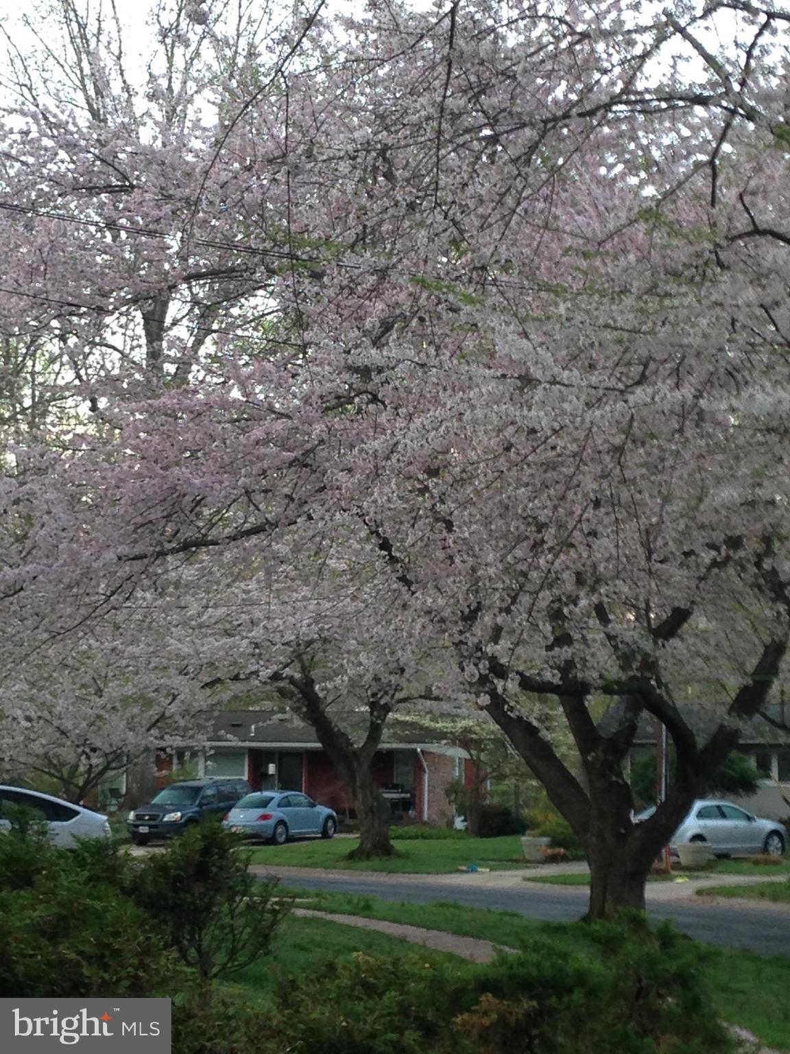 3941 Rickover Road Silver Spring, MD 20902 - Photo 5 of 5 a view of house with yard