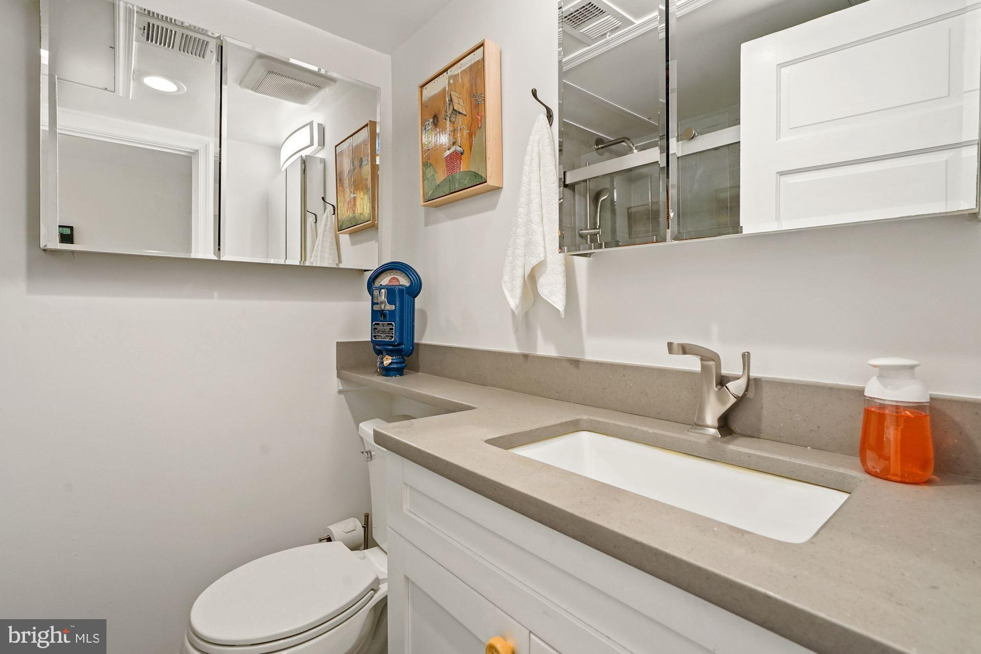 9 Russell Road, Unit D Alexandria, VA 22301 - Photo 22 of 29 a bathroom with a sink a toilet and mirror