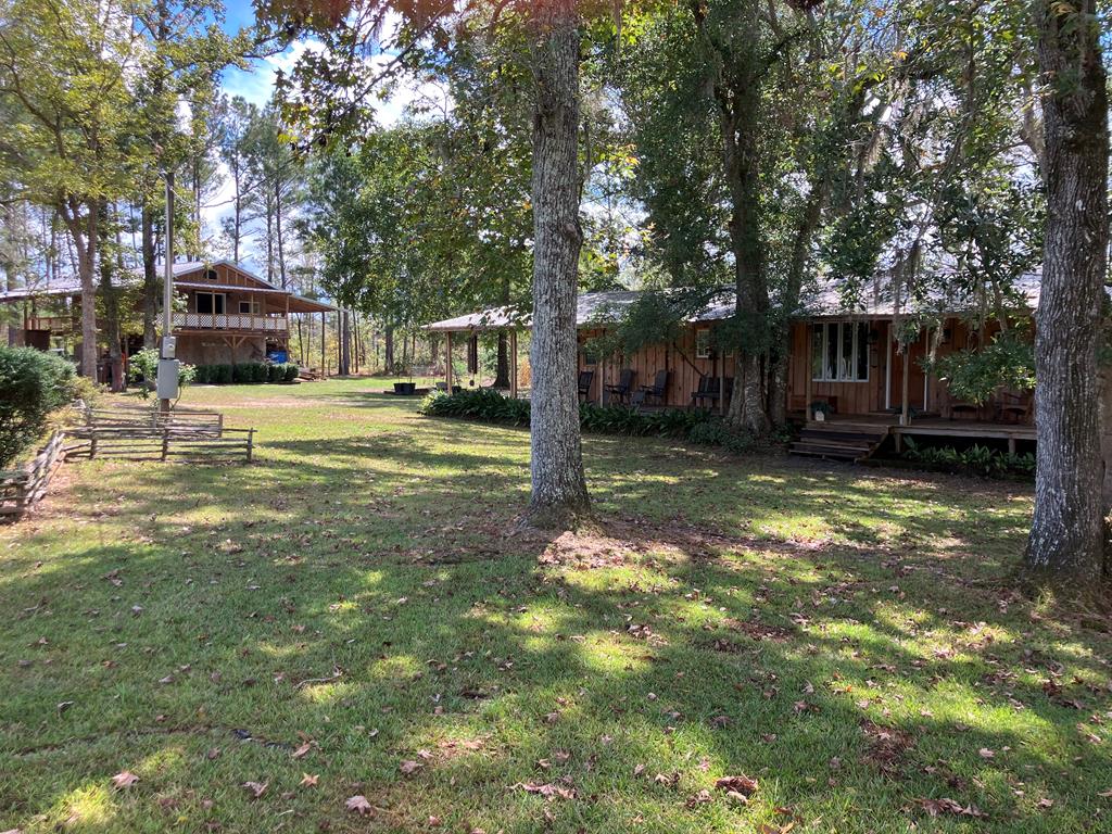 65 Mathis Road Lakeland, GA 31635 - Photo 1 of 94 Gallery Image 1