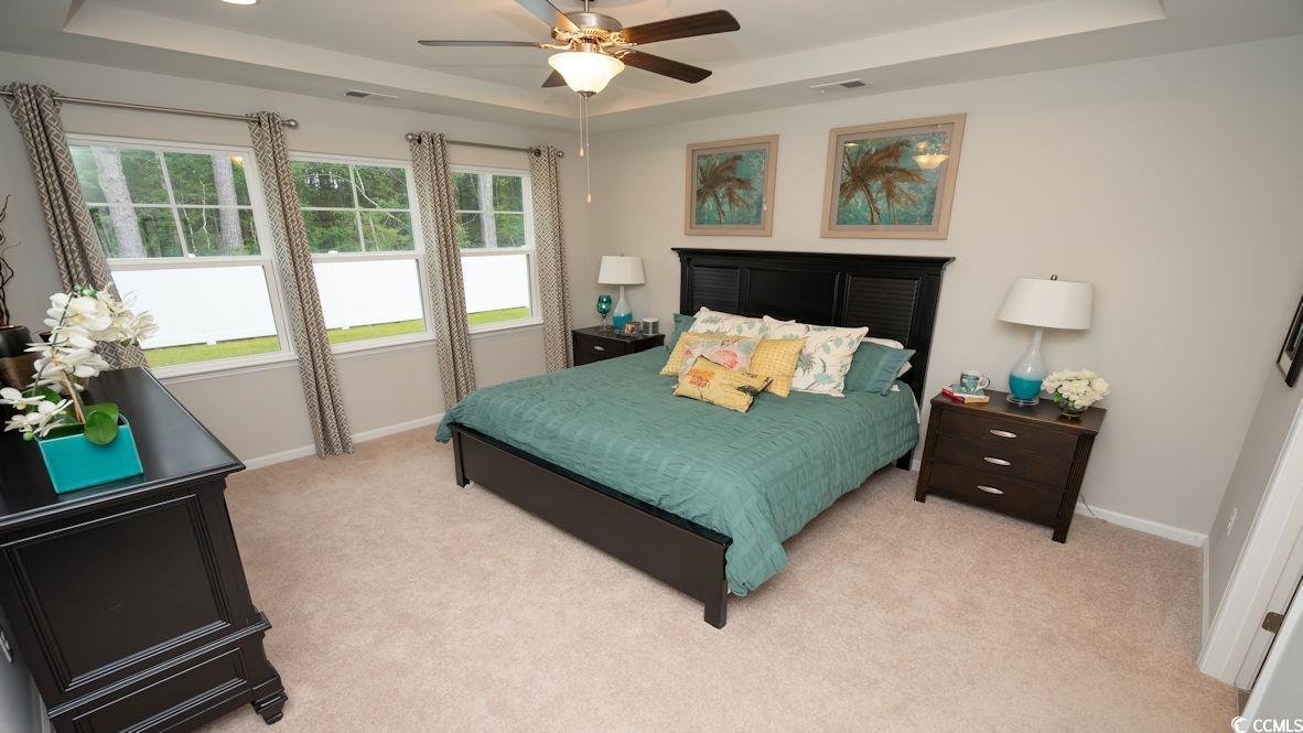 240 Lassoed Circle Murrells Inlet, SC 29576 - Photo 26 of 31 Gallery Image 26