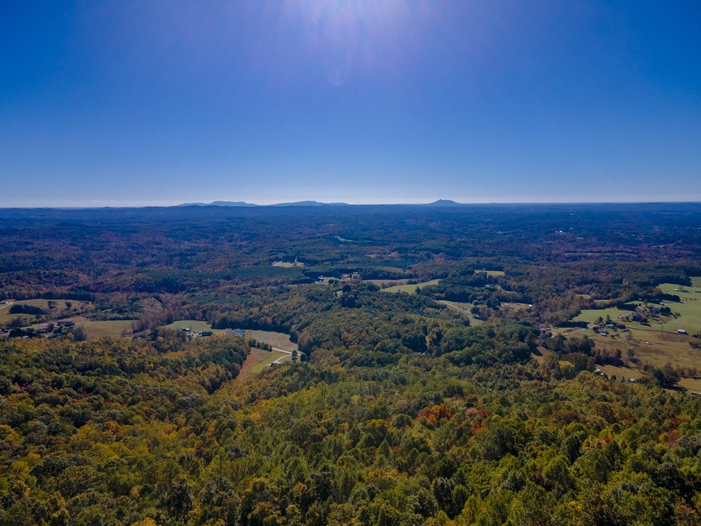 Lot 93 Reflections Point Trail, Unit 93 Fancy Gap, VA 24328 - Photo 77 of 92 Gallery Image 77