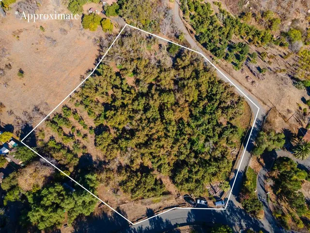 an aerial view of mountain with trees