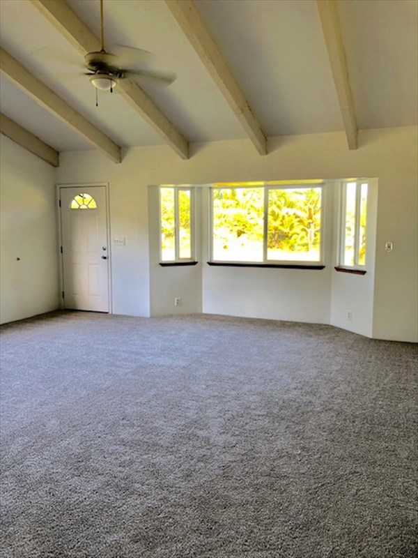 769 Ahuna Road Hilo, HI 96720 - Photo 11 of 21 en empty room with windows and entrance