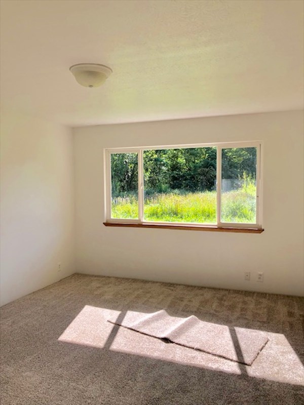 769 Ahuna Road Hilo, HI 96720 - Photo 18 of 21 an empty room with a window