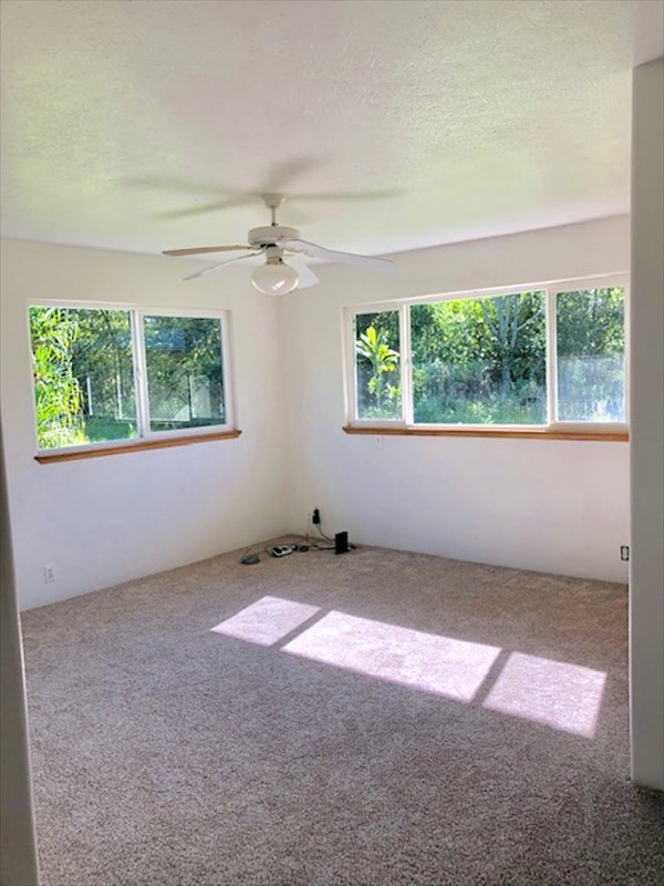 769 Ahuna Road Hilo, HI 96720 - Photo 19 of 21 an empty room with windows