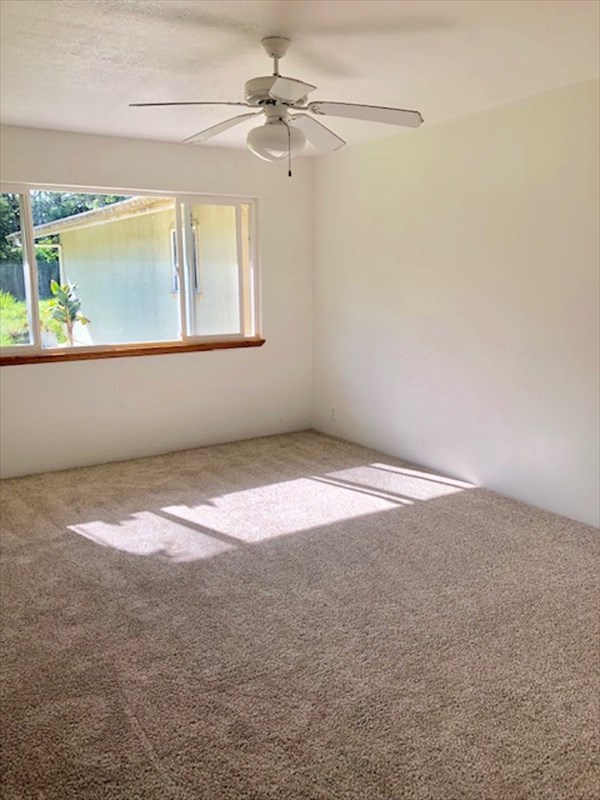 769 Ahuna Road Hilo, HI 96720 - Photo 20 of 21 a view of empty room with window
