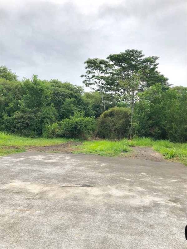 769 Ahuna Road Hilo, HI 96720 - Photo 5 of 21 a view of a yard with a house