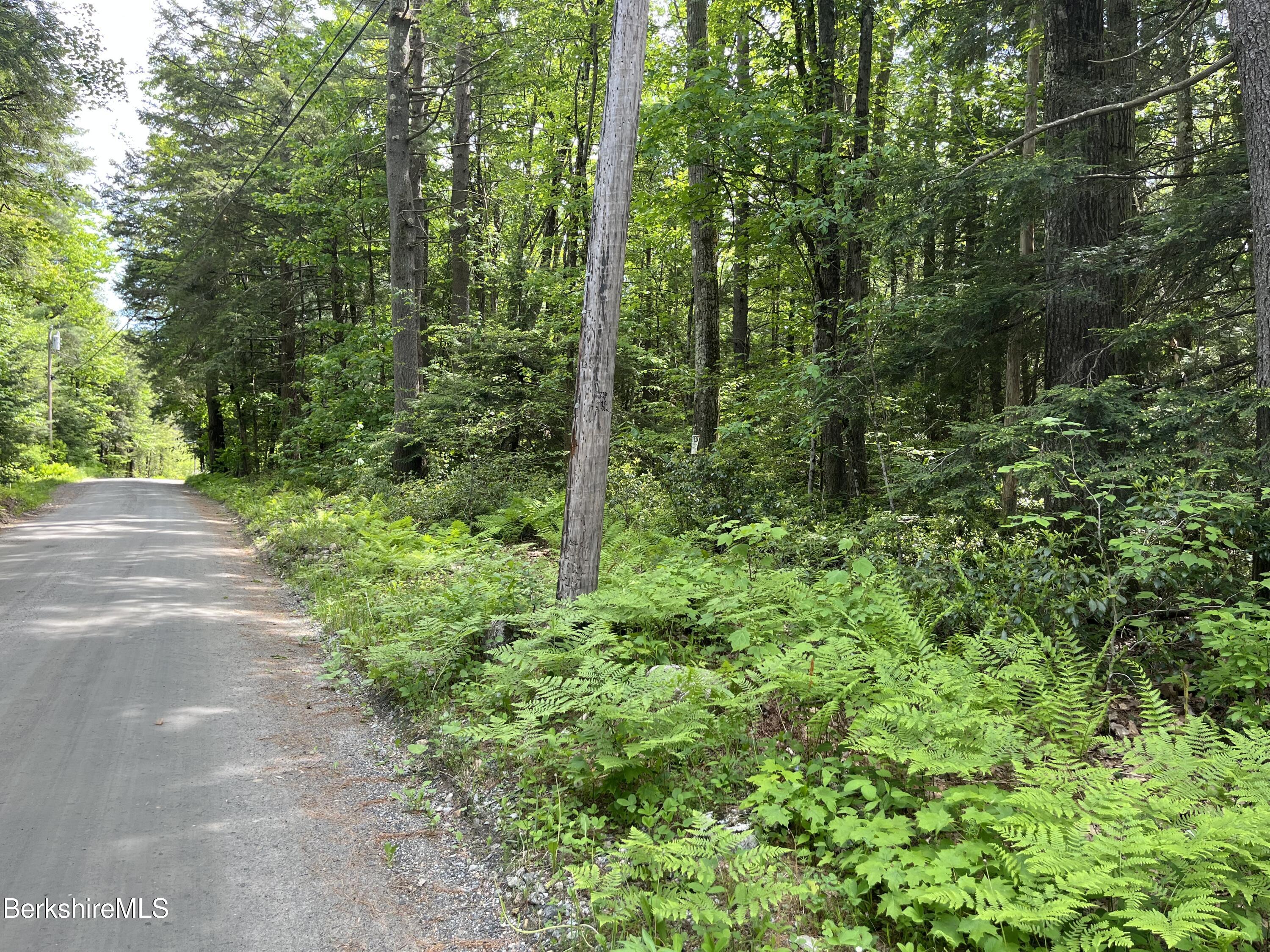 Lot 84 Churchill Road East Otis, MA 01029 - Photo 3 of 18 L 84 C