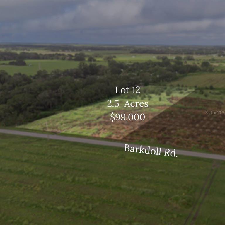 0 Barkdoll Road, Unit LOT 12 Bowling Green, FL 33834 - Photo 1 of 1 Gallery Image 1