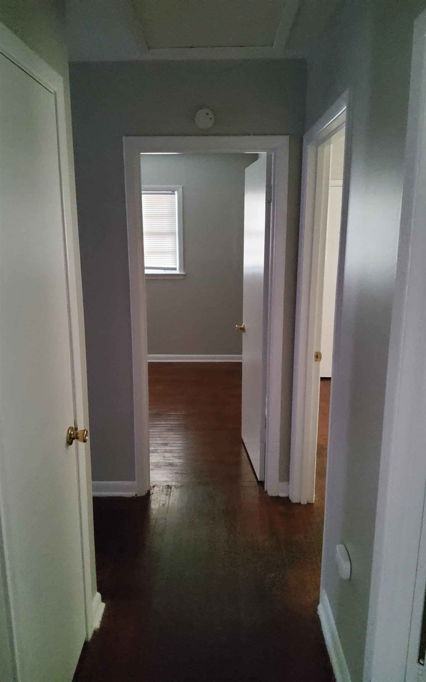 3954 Kenosha Road Memphis, TN 38118 - Photo 3 of 8 Corridor with dark hardwood / wood-style flooring