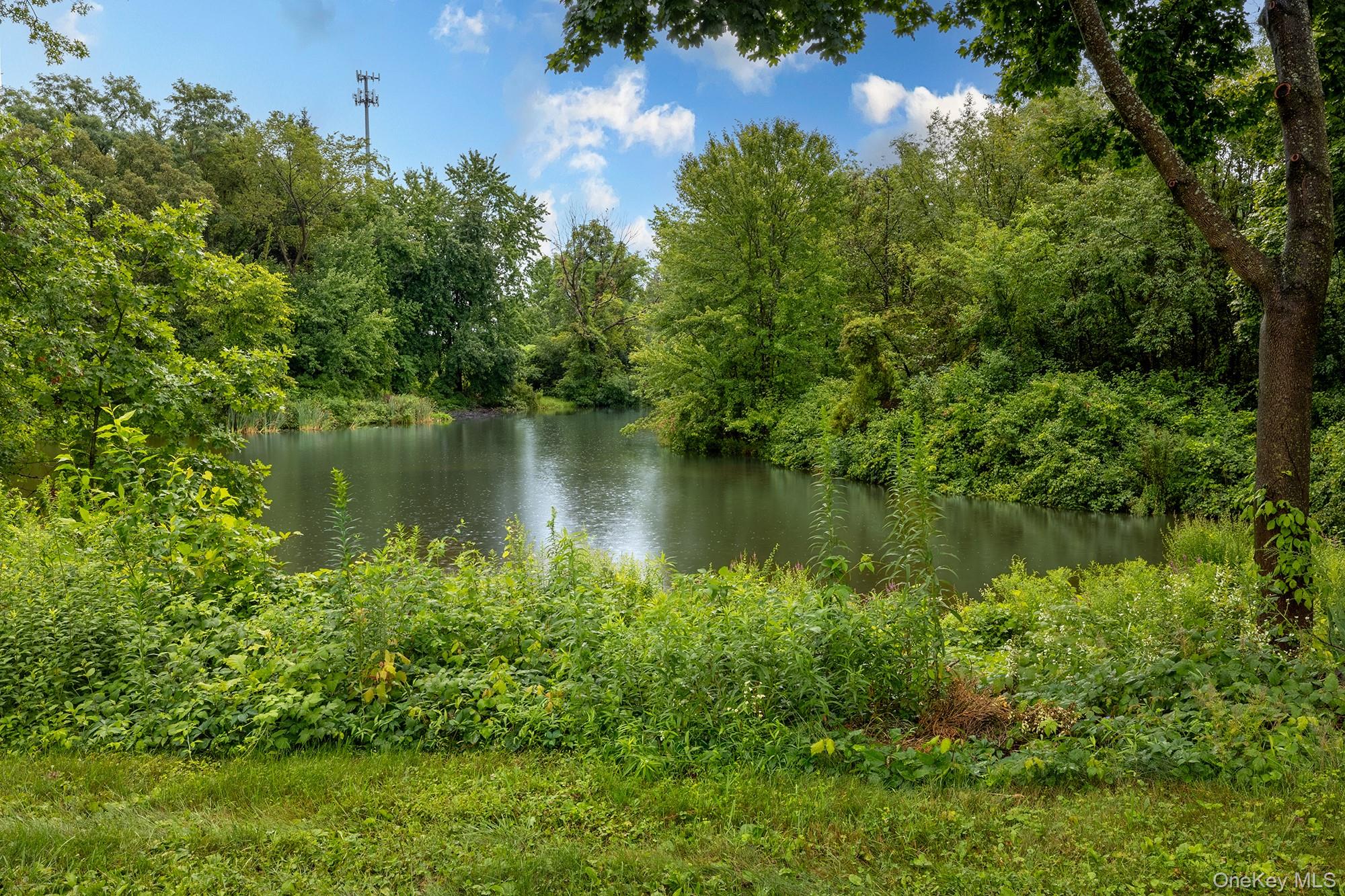 114 Cramer Road Poughkeepsie, NY 12603 - Photo 3 of 31 Natural pond feature surrounded by abundant mature trees and lush green foliage