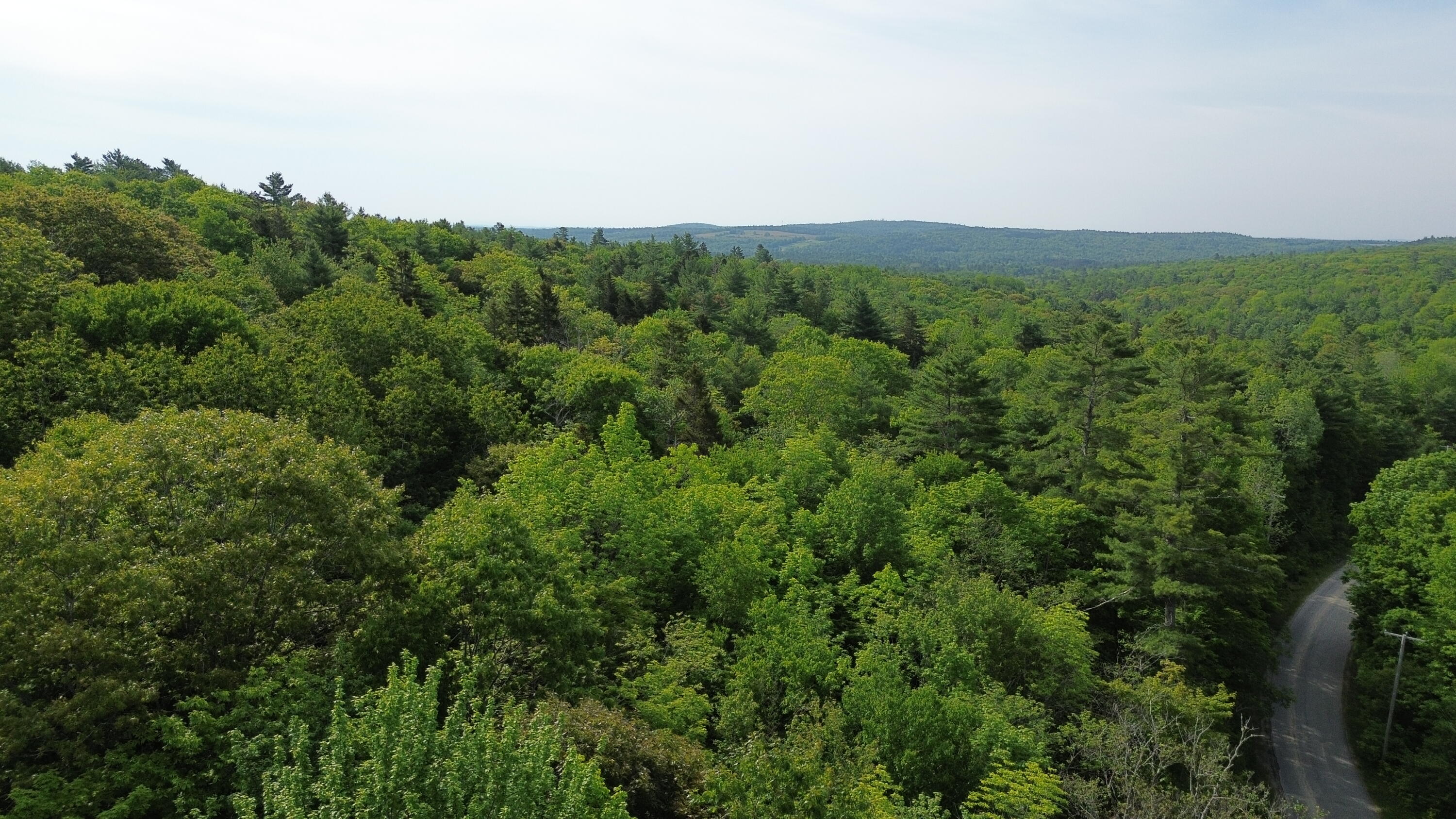 M5-l16 Clark Road Prospect, ME 04981 - Photo 6 of 45 DJI_0129