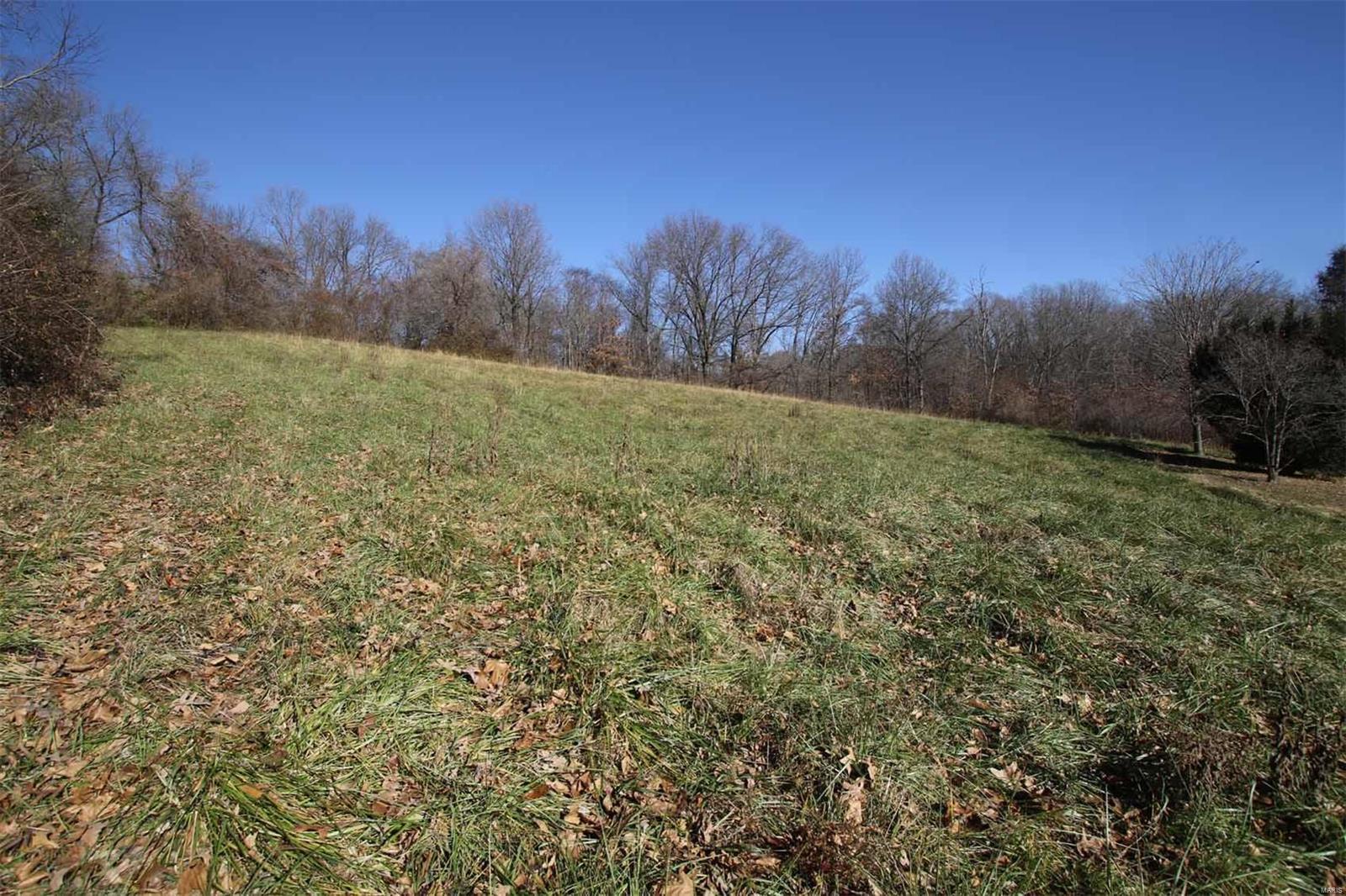 25548 Beltrees Road Dow, IL 62022 - Photo 9 of 26