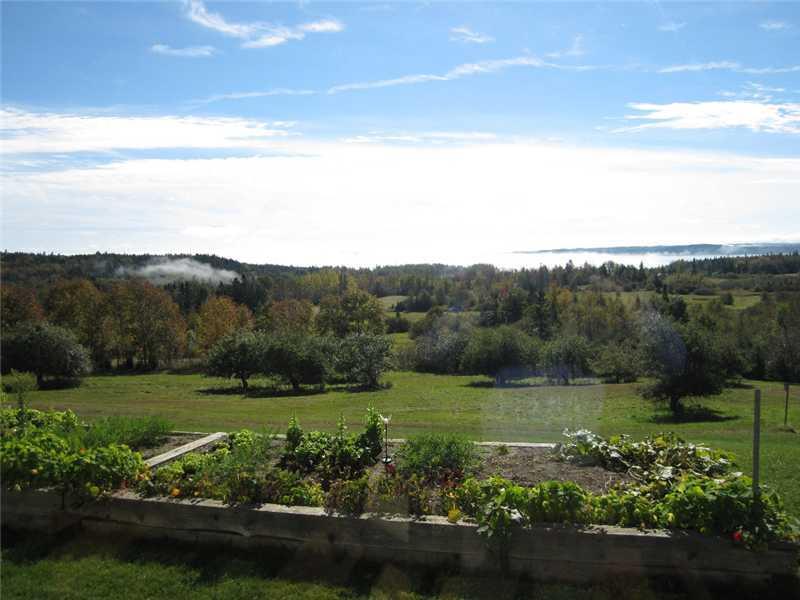 232 Cannon Hill Road Perry, ME 04667 - Photo 31 of 34 Land/Lot. Great gardens, early...