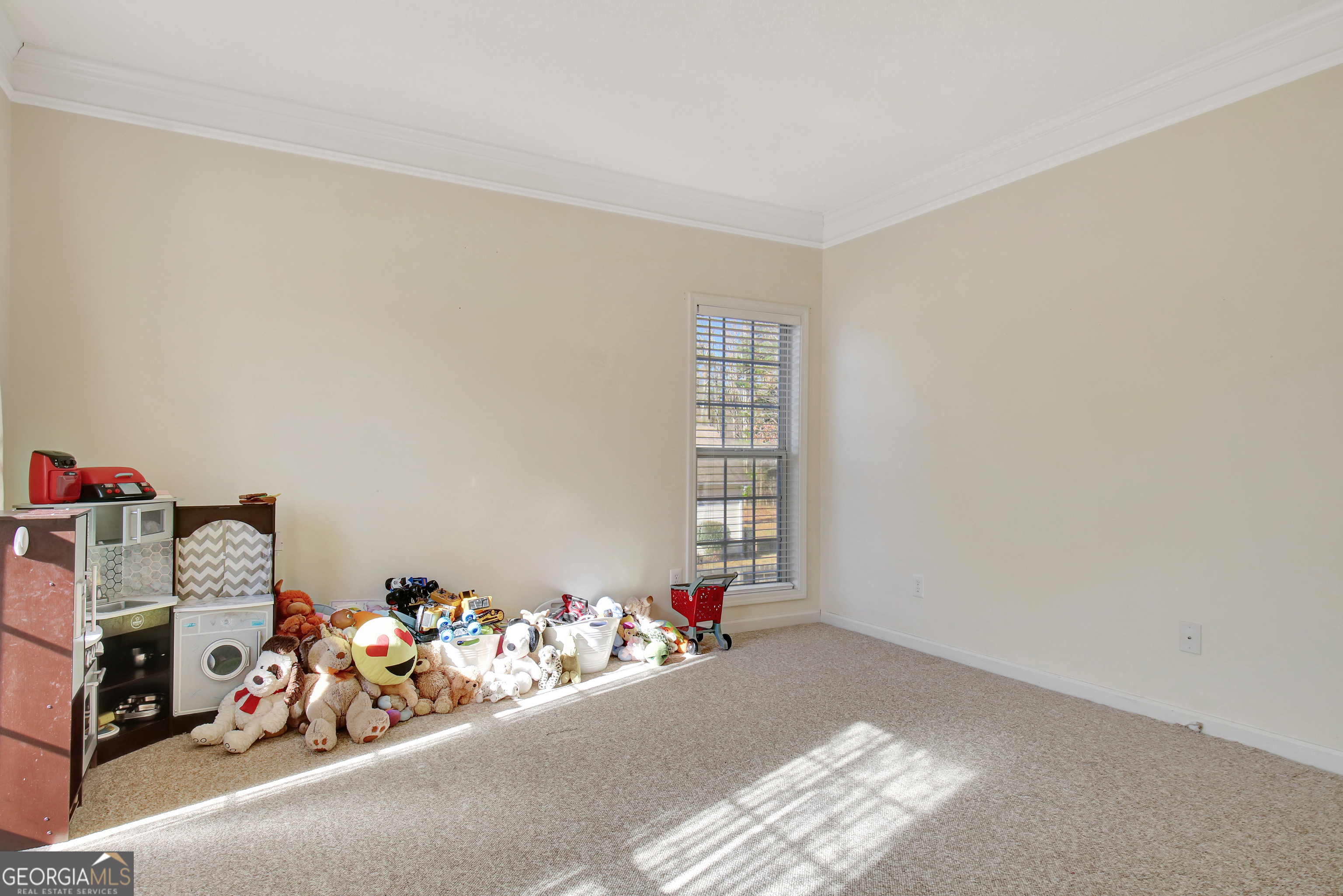 345 Gaelic Way Tyrone, GA 30290 - Photo 10 of 114