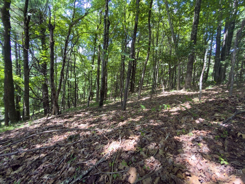 Grandview Dr Extension Boone, NC 28607 - Photo 5 of 6