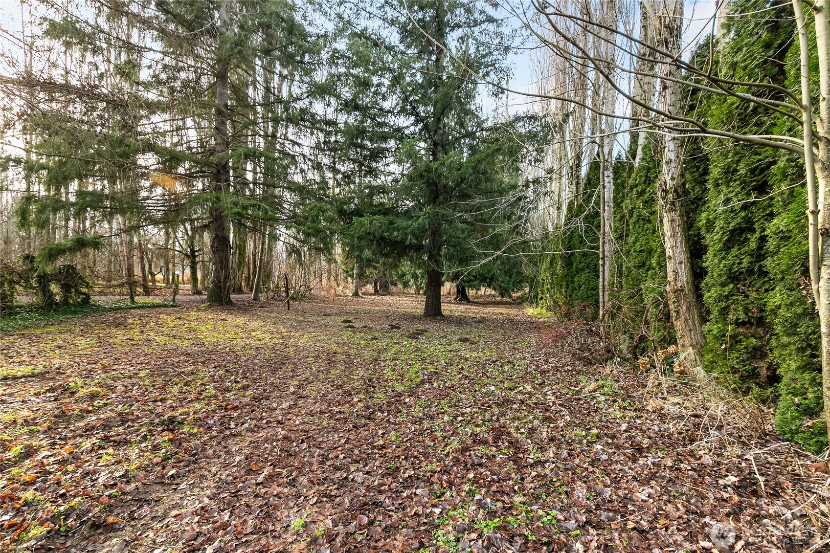 7406 Oat Coles Road Everson, WA 98247 - Photo 31 of 40