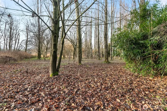 $650,000 | 7406 Oat Coles Road, Everson, WA 98247