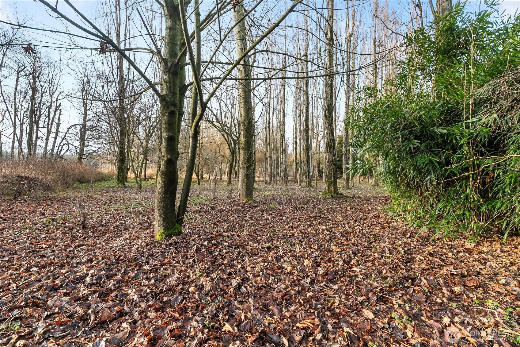 7406 Oat Coles Road Everson, WA 98247 - Photo 32 of 40