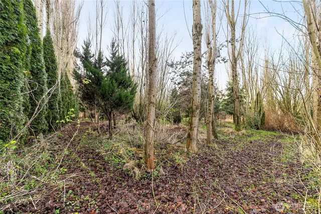 $650,000 | 7406 Oat Coles Road, Everson, WA 98247