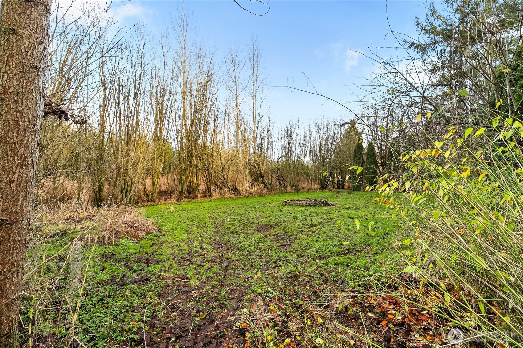 7406 Oat Coles Road Everson, WA 98247 - Photo 34 of 40