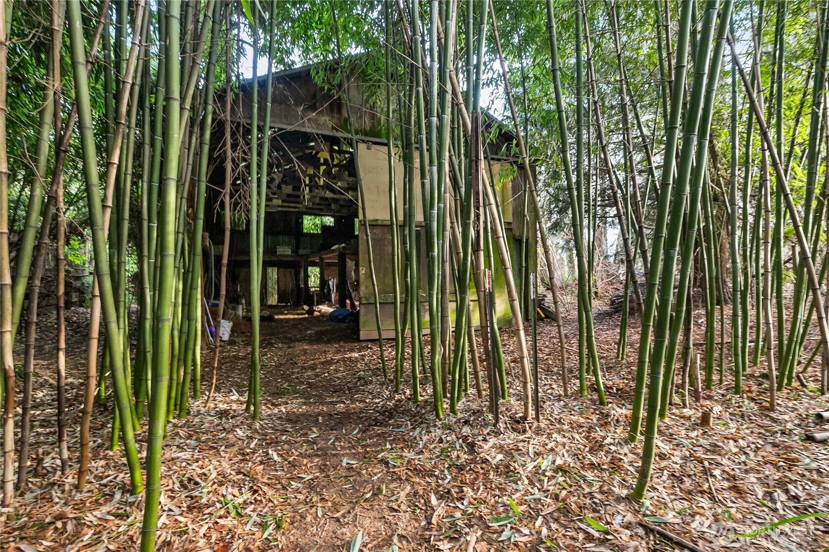 7406 Oat Coles Road Everson, WA 98247 - Photo 37 of 40