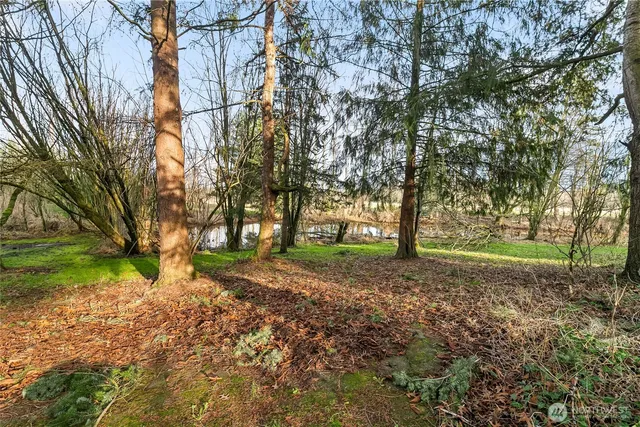 $650,000 | 7406 Oat Coles Road, Everson, WA 98247