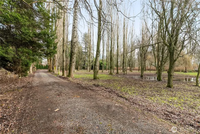 a view of outdoor space with lots of trees