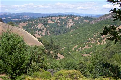 4600 Muniz Ranch Road Cazadero, CA 95421 - Photo 1 of 5 Gallery Image 1