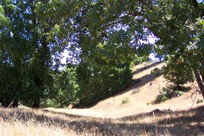 4600 Muniz Ranch Road Cazadero, CA 95421 - Photo 2 of 5 Gallery Image 2