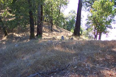4600 Muniz Ranch Road Cazadero, CA 95421 - Photo 3 of 5 Gallery Image 3