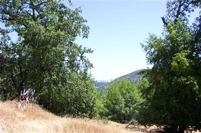 4600 Muniz Ranch Road Cazadero, CA 95421 - Photo 4 of 5 Gallery Image 4