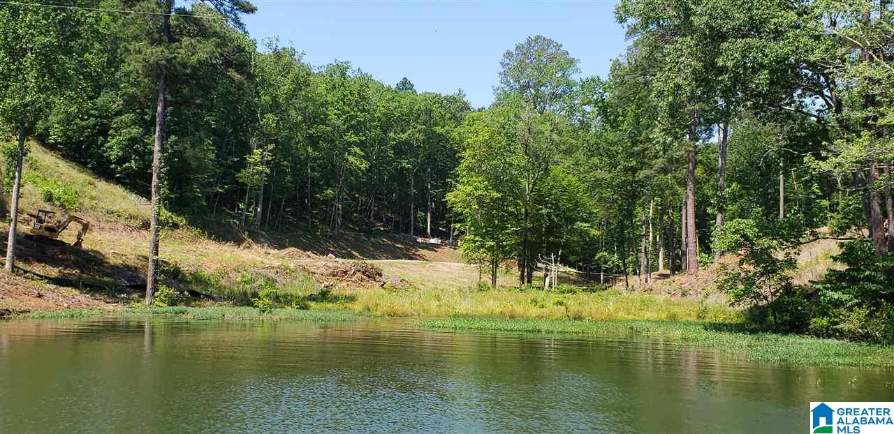 907 Preserve Road Rockford, AL 35136 - Photo 43 of 45