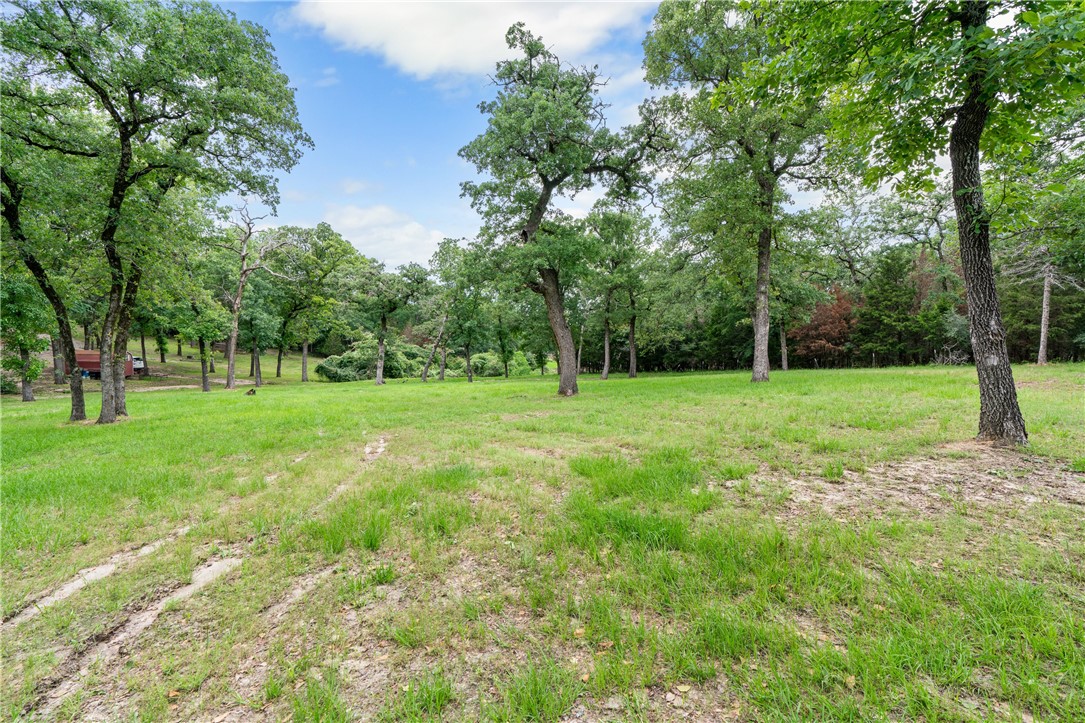267 Lcr 902 Jewett, TX 75846 - Photo 34 of 37 a view of a park with large trees
