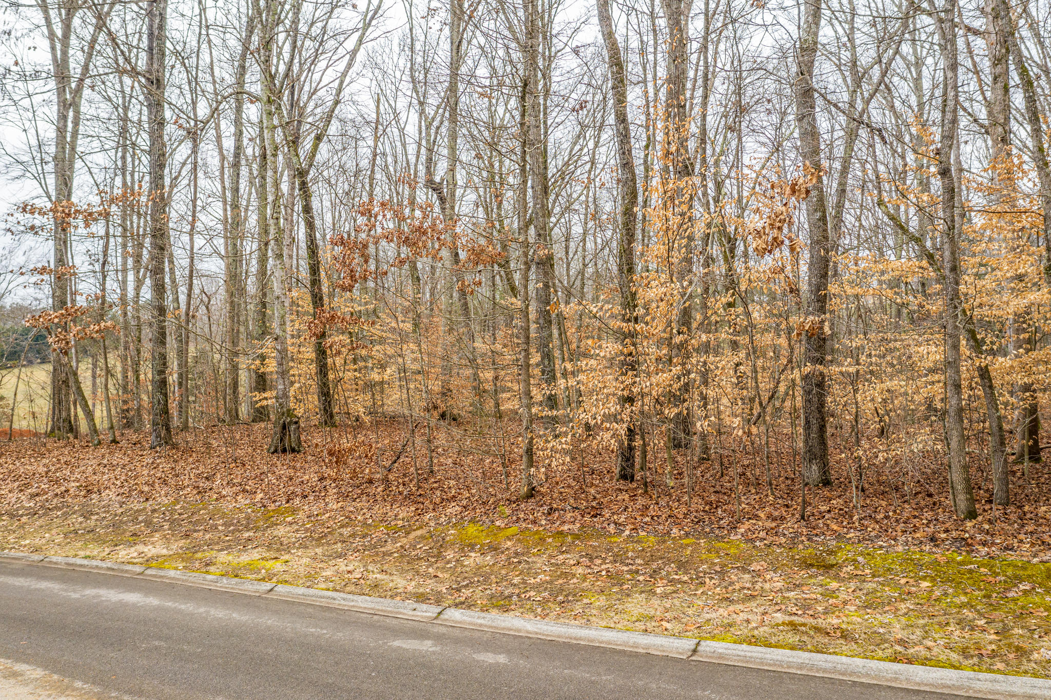 Lot 34 Blount Circle, Unit 34 Rutledge, TN 37861 - Photo 1 of 17 1