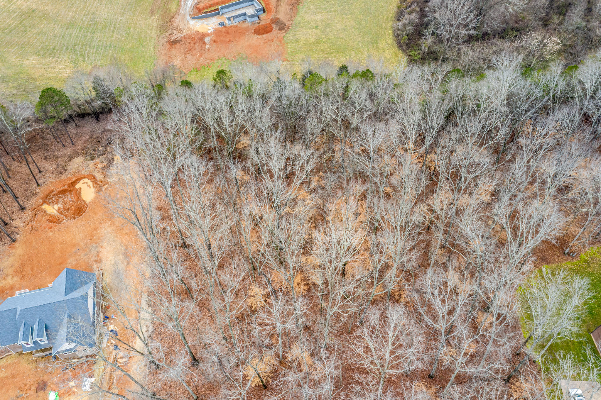 Lot 34 Blount Circle, Unit 34 Rutledge, TN 37861 - Photo 5 of 17 5