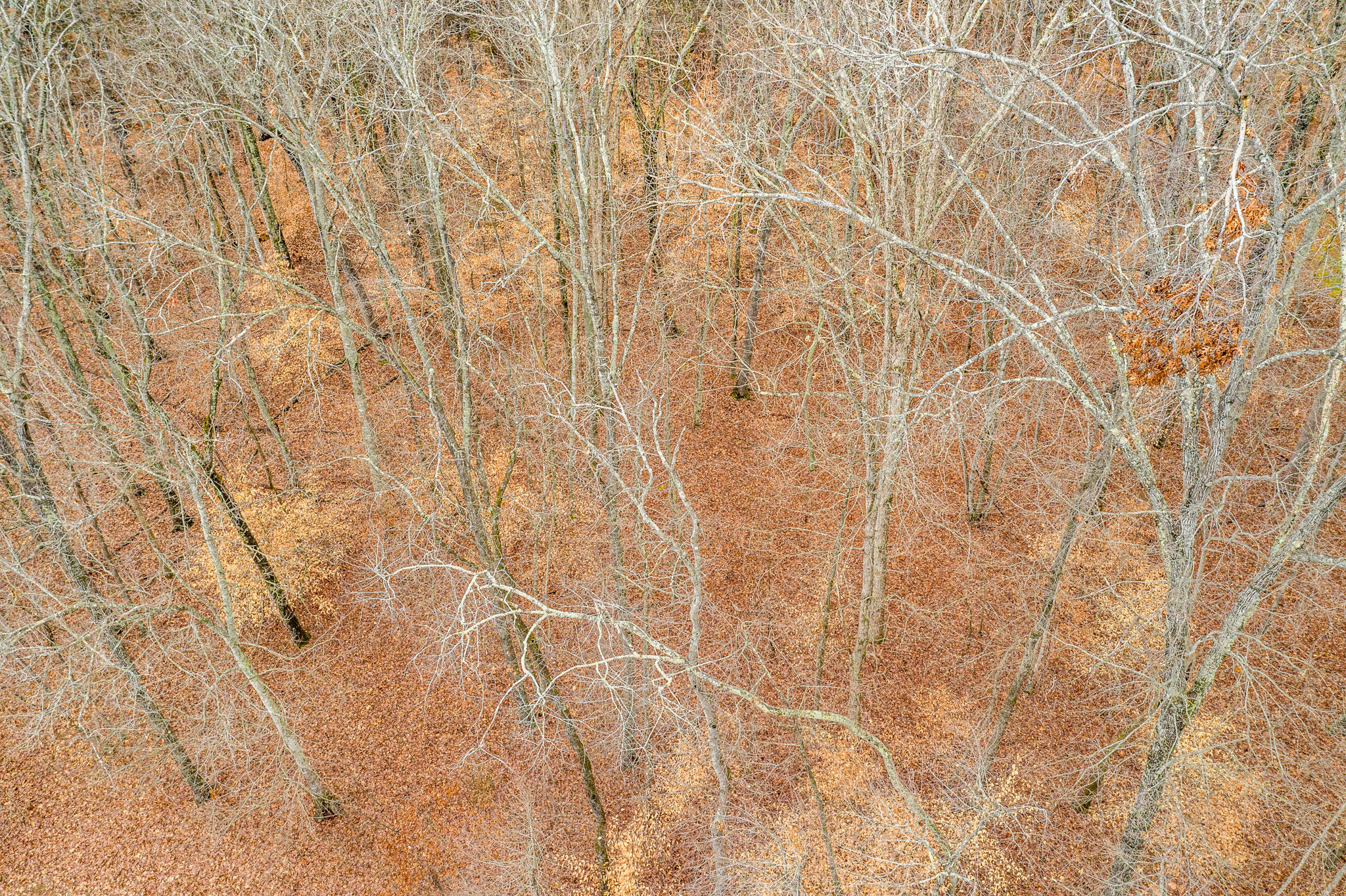 Lot 34 Blount Circle, Unit 34 Rutledge, TN 37861 - Photo 6 of 17 6