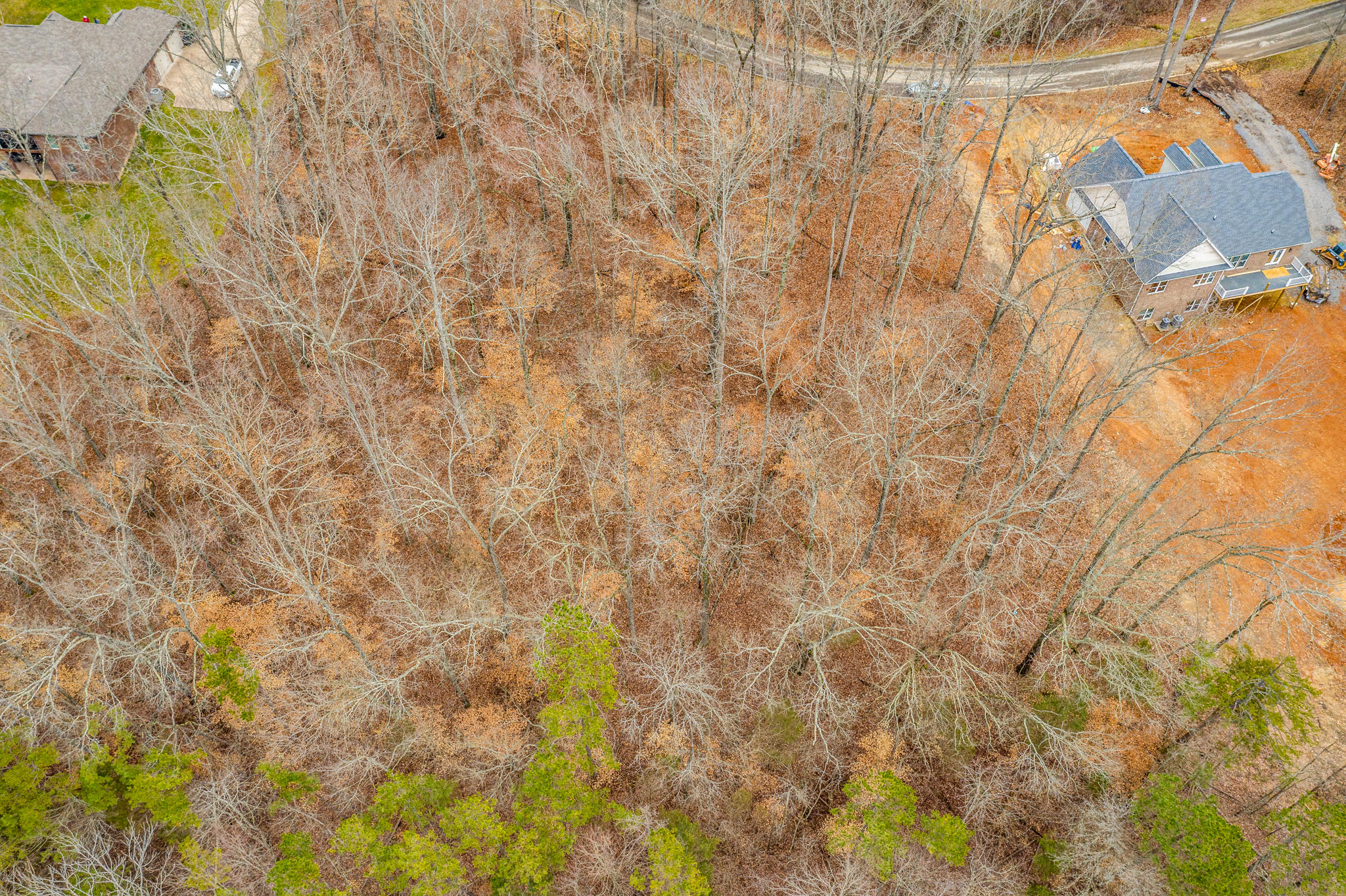 Lot 34 Blount Circle, Unit 34 Rutledge, TN 37861 - Photo 7 of 17 7