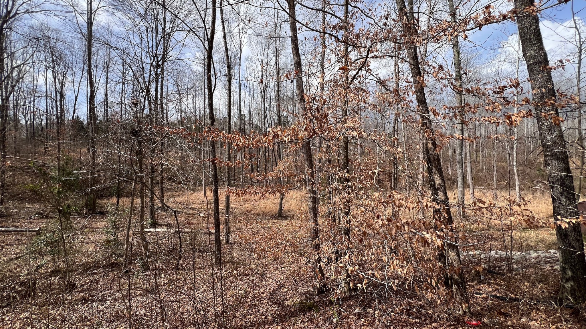 113 Firetower Road Camden, TN 38320 - Photo 23 of 25 Gallery Image 23