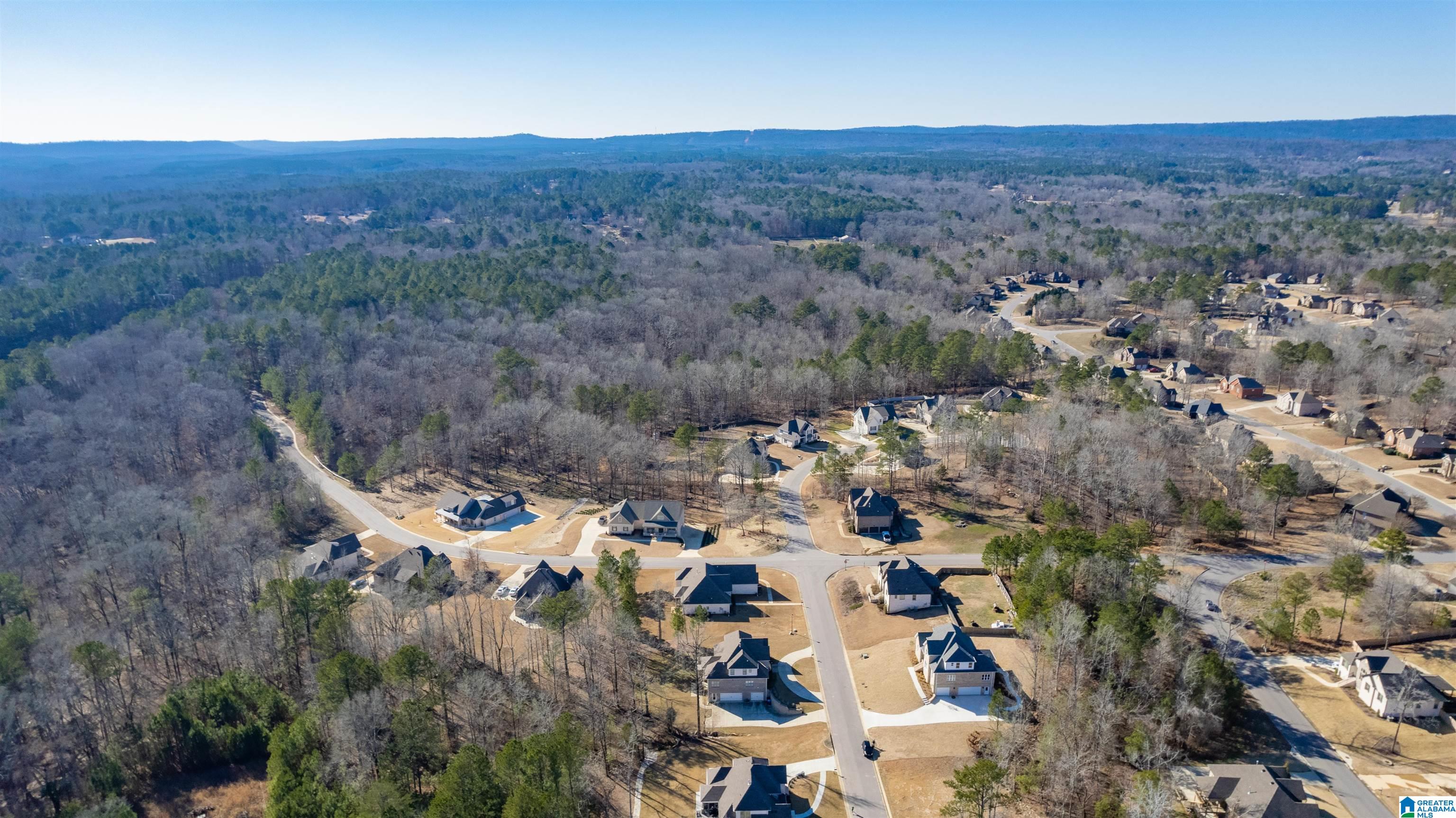 116 Bolivar Lane Chelsea, AL 35043 - Photo 44 of 56